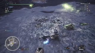 モンスターハンター：ワールド_20181019ごろごろごろごろ～