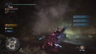 モンスターハンターワールド　アステラ(祭)だそうです