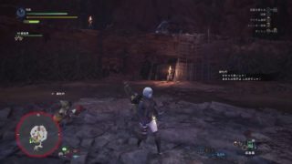 [ モンスターハンター：ワールド ] クルルヤック・ツィツィヤック