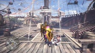 モンスターハンター：ワールド_20181029 ガンスベヒソロ 30分切れた