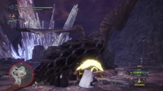 モンスターハンター：ワールド_20181008003312