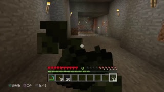 垂れ流しマインクラフト #13