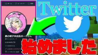 【ツイッターっていうの始めた】【ハイピクセル】【マインクラフト】【ベットウォーズ】～瞬間移動を極めた動画～