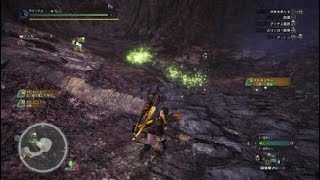 モンスターハンター：ワールド_20181015201221