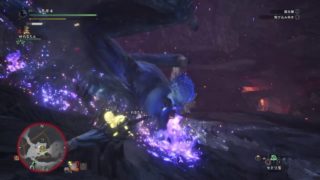 モンスターハンター：ワールド  MHW　歴戦王ナナ
