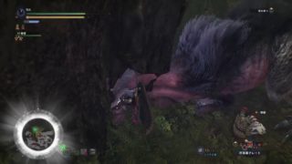 [ モンスターハンター：ワールド ] アンジャナフ・トビカガチ・プケプケ