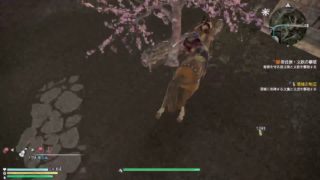 真三國無双8 難易度究極　マッタリプレイ