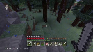 PS4マインクラフト、気ままに配信　目的？なにそれー、まったりコツコツ