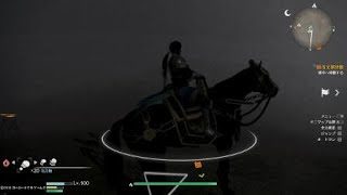 ［無双８］赤兎馬も体幹を鍛える