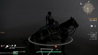 ［無双８］赤兎馬も体幹を鍛える