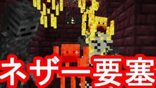 【マイクラ】ネザーの要塞で宝探ししてみた結果【マインクラフト】