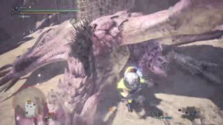 【モンスターハンターワールド】久しぶりに配信　#28