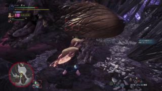 モンスターハンター：ワールド歴戦ネギチャアク