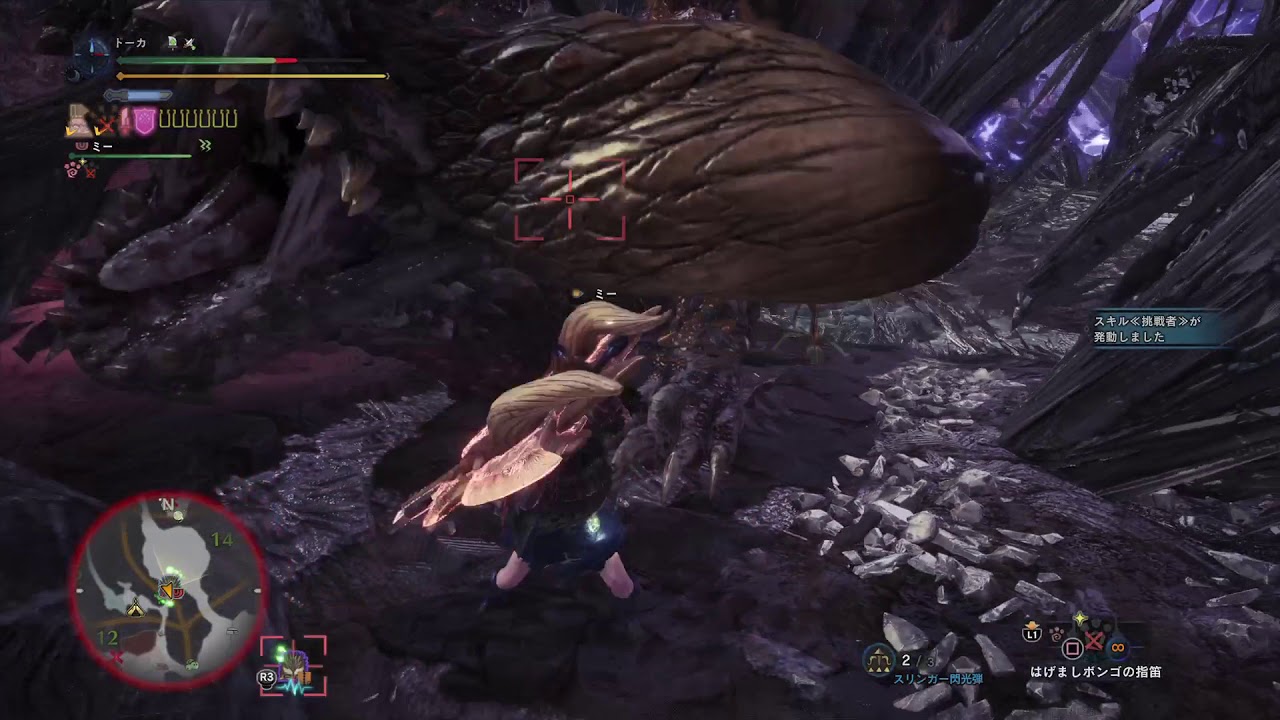 モンスターハンター：ワールド歴戦ネギチャアク