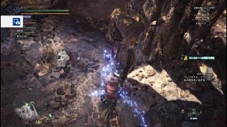 チャアクの話しですよね...？ モンスターハンター：ワールド_20180419225744