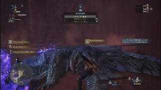 雑にナナを切り刻む　モンスターハンター：ワールド