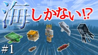 【マインクラフト】うみぐらし～マイクラで縛り実況!?～#1【みょうれん】