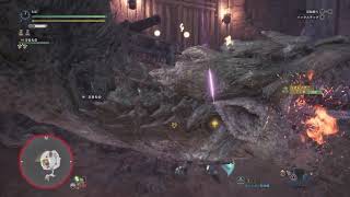 モンスターハンター：ワールド_ちょっと慣れた