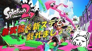 【スプラトゥーン２】早朝スプラ。寒い