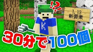 【マインクラフト】マジ本気ｗｗ 30分で1.13の新要素を100個見つけられるのか！？【マイクラ実況】