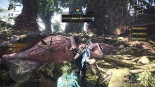 モンスターハンター：ワールド_20181007010200