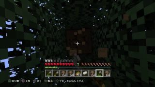 マインクラフト整地するよ【無言】