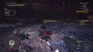 ＃35 復帰組のモンスターハンターワールド@空き枠常時募集＠花丸罰ゲームガチャ実装