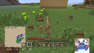 ［手元配信］マインクラフト　雑談配信 　「のんびり気ままに街づくり」  [PS4]