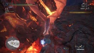 モンスターハンター：ワールド_20181019めり込んどる
