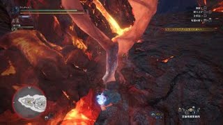 モンスターハンター：ワールド_20181019めり込んどる
