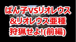 【実況】ほんとあんたら仲良いなぁ【モンスターハンター：ワールド#51】