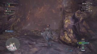 モンスターハンターワールド！！フレンドさんとオンラインマルチプレイ　# 　68　　LIVE FROM  PlayStation 4