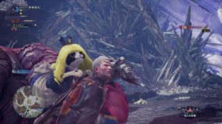 モンスターハンター：ワールド_導きの青い星のソロ