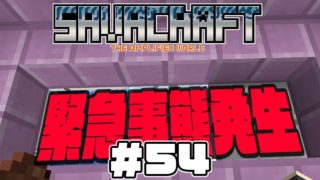 【SAVACRAFT #54】エレベーターに緊急事態発生！:Amplified Hard Multi【マインクラフト】