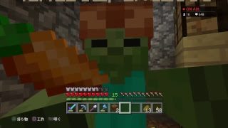 開拓と繁栄。[マインクラフト PS4]