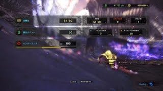 モンスターハンター：ワールド_対ナナ