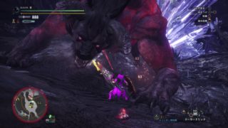 モンスターハンター：ワールド_20181103 ベヒソロ ガンス 24分37秒