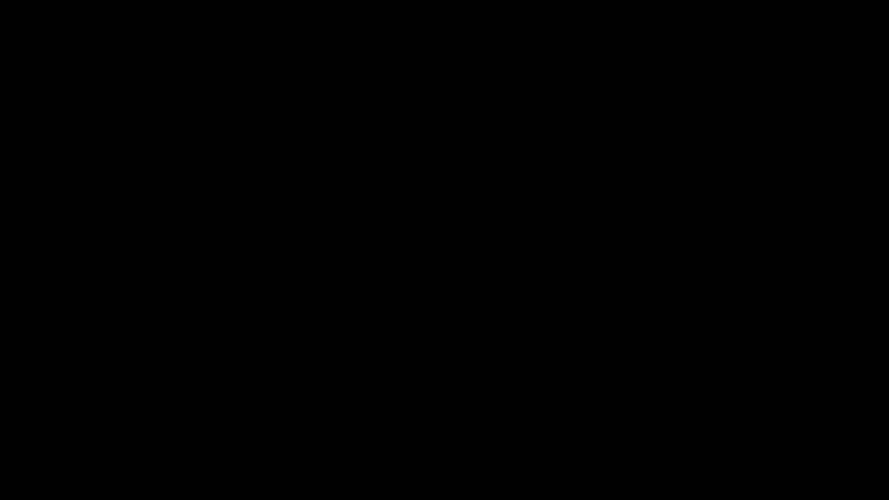 スプラトゥーン2　最新曲　【高音質】