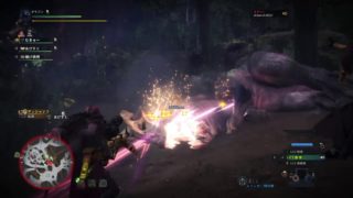 モンスターハンター：ワールド_20181106000933