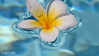 超下手な母のモンスターハンターワールド