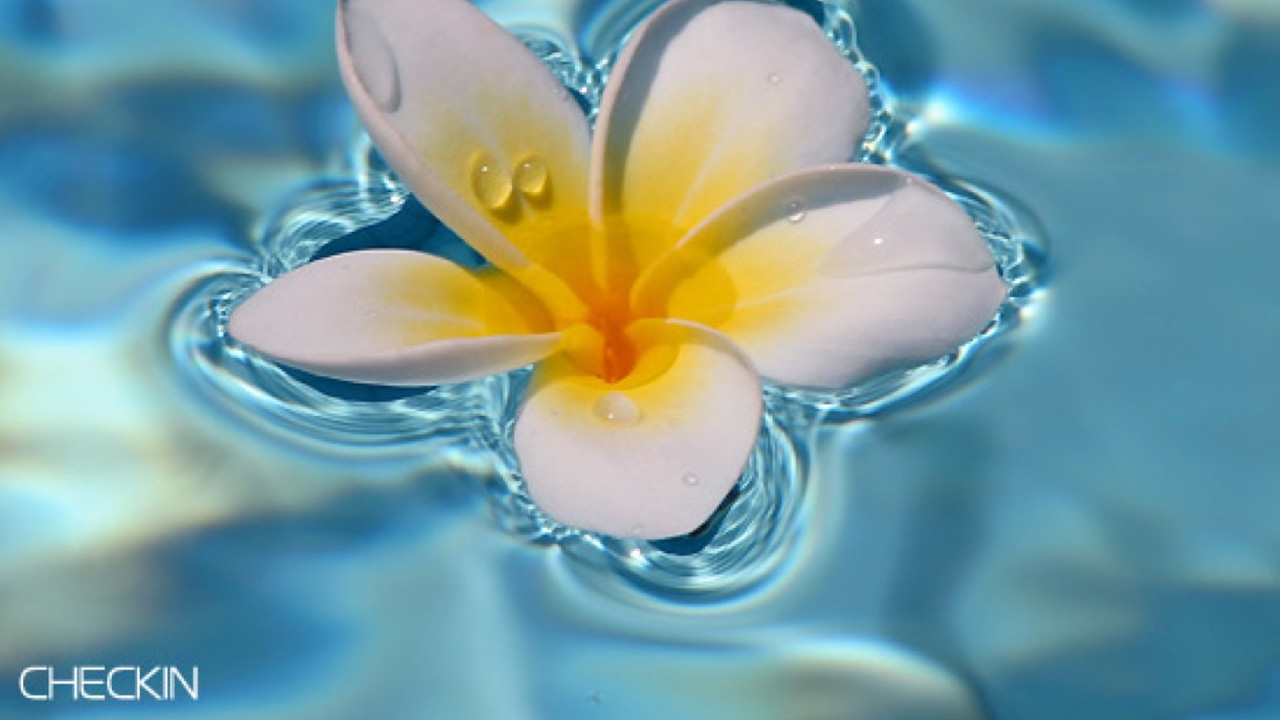 超下手な母のモンスターハンターワールド