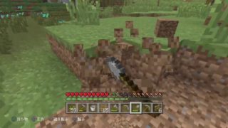 深夜のまったりマインクラフト配信