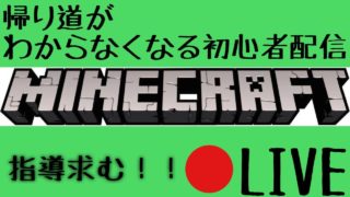 【マインクラフト】ちゃんりお被害者の会 ブレイズトラップを作ってみよう！【初見さんアドバイス等コメント嬉しいです♪】