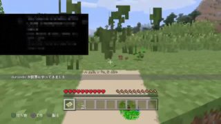 ほのぼのマインクラフト（もう一度ワールド作成）