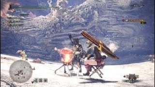 モンスターハンター：ワールド_20181127235514