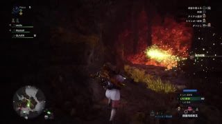 MHW モンスターハンターワールド 【煌めきの宴】