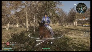 真・三國無双８_20181110190555