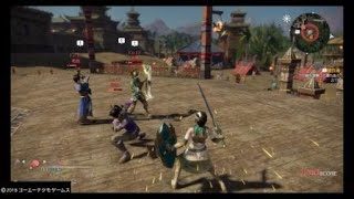 真・三國無双８　星彩　リョナ