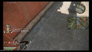 真・三國無双８　星彩　リョナ