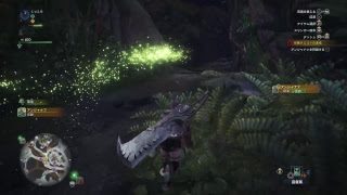 ＃6 モンスターハンターワールド＊初心者による初見プレイだよー